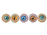 Halloween eyes 15g in bag 5x15g Milk Chocolate